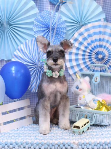 20231128むぎちゃん